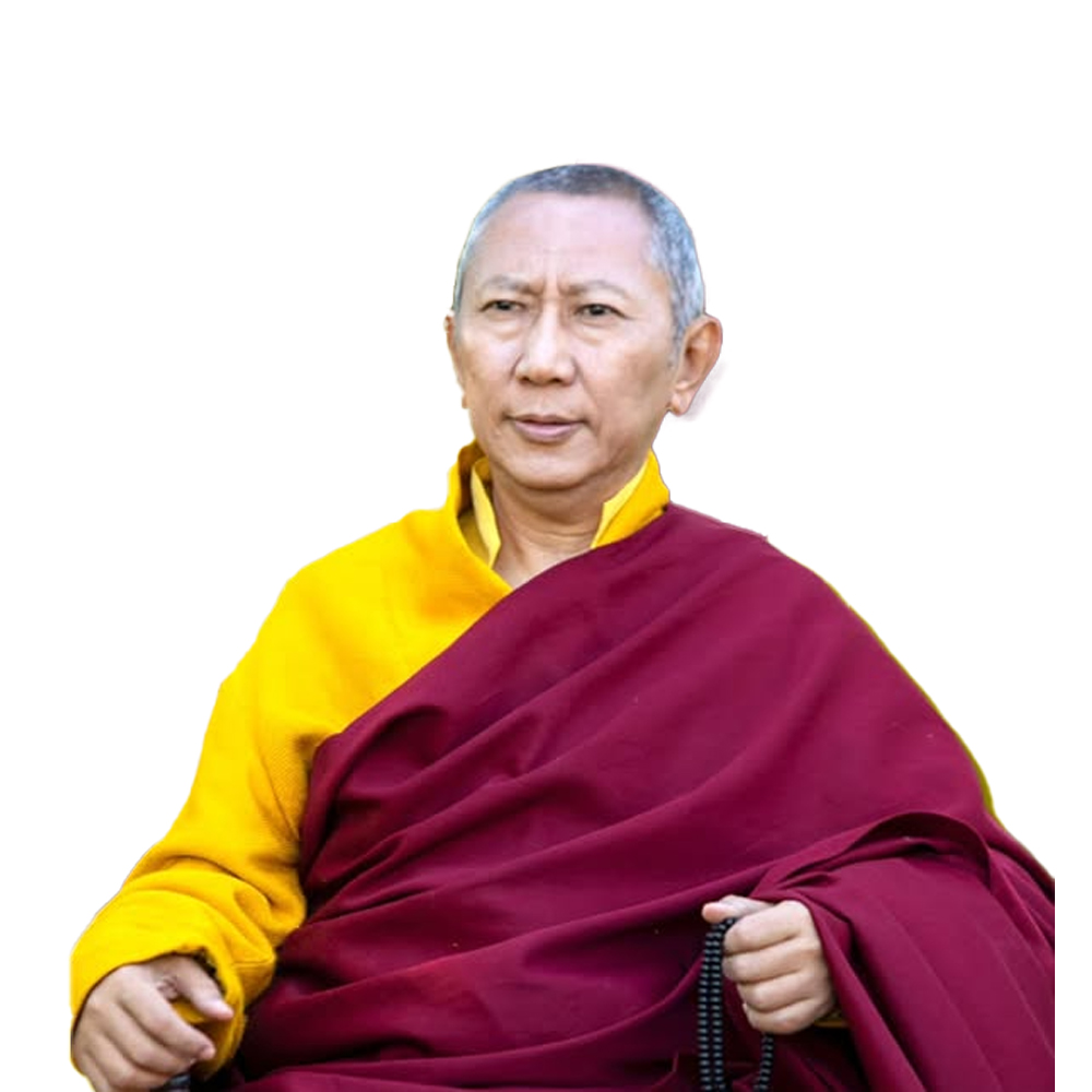 श्याल्पा तेन्जिन रिन्पोछे